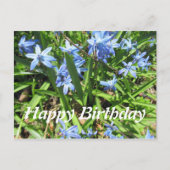 Joli Blue Scilla Flower Photo Anniversaire Carte p (Devant)
