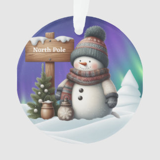 Joli bonhomme de neige sur le Pôle Nord avec les a
