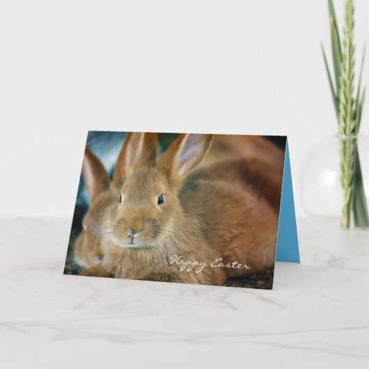Joli Bunny Brown Carte de Pâques personnalisée (Devant)