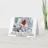Joli cardinal rouge sur la carte de neige (Dos)
