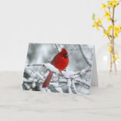 Joli cardinal rouge sur la carte de neige (Fleur jaune)