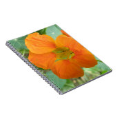 Joli Carnet de fleurs de Nasturtium Orange (Côté Droit)