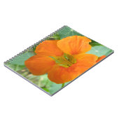 Joli Carnet de fleurs de Nasturtium Orange (Côté gauche)