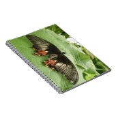 Joli Carnet de papillon noir rouge et or (Côté Droit)