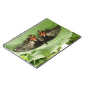 Joli Carnet de papillon noir rouge et or (Côté gauche)