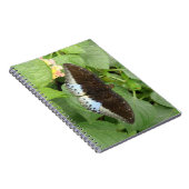 Joli Carnet de papillon tropical (Côté Droit)