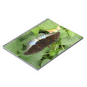 Joli Carnet de papillon tropical (Côté gauche)