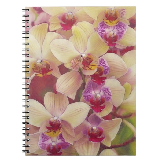 Joli Carnet du Journal d'Art des Fleurs d'Orchidée (Devant)