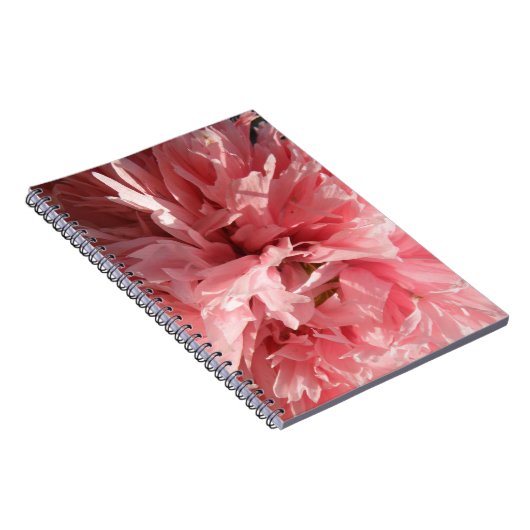 Joli Carnet rose (Côté Droit)