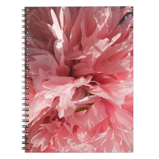 Joli Carnet rose (Devant)