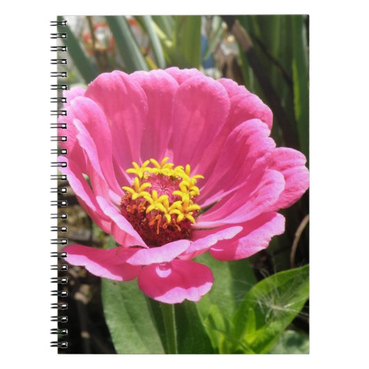 Joli Carnet rose Zinnia (Devant)