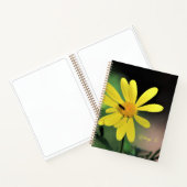 Joli Carnet Spiral Daisy (Intérieur)