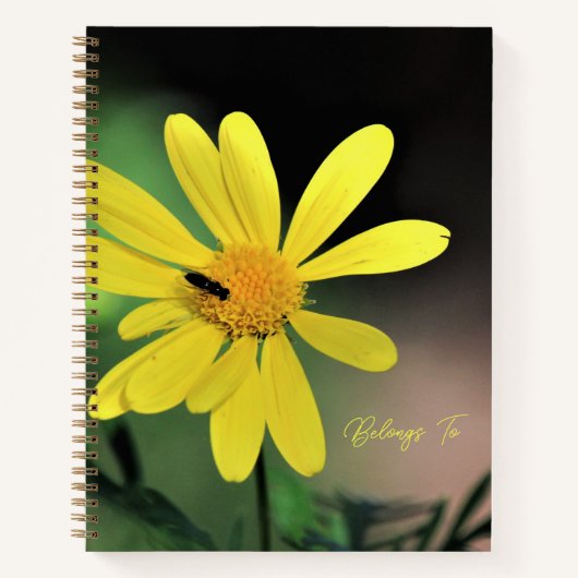 Joli Carnet Spiral Daisy (Devant)