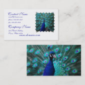 Joli carte de visite de paon (Devant / Derrière)