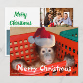 Joli Carte photo de Noël Père Noël (Devant / Derrière)