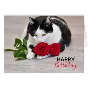 Joli chat avec la rose rouge