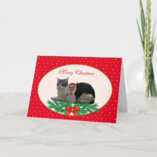 Joli chat de Noël et elfe ange sur carte rouge