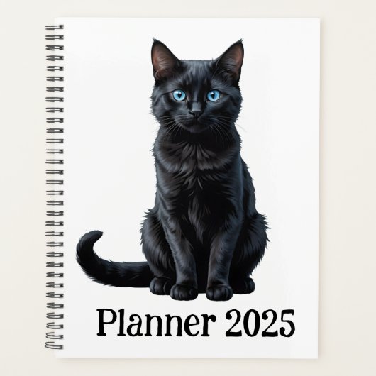 Joli chat noir (Devant)
