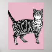 Joli Chat Tabby Rayé Rose Affiches d'Art (Devant)