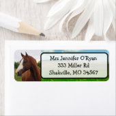 Joli cheval Adresse de retour Étiquettes (En situation)