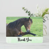 Joli Cheval Brown allongé dans le Merci d'herbe (Debout devant)