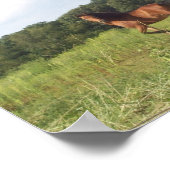 Joli cheval dans le champ Poster (Coin)