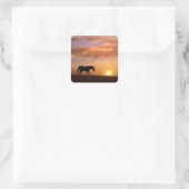 Joli cheval dans les Stickers Coucher de soleil (Sac)