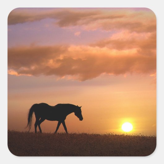 Joli cheval dans les Stickers Coucher de soleil (Devant)