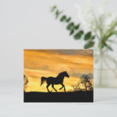 Joli Cheval de course à la carte postale coucher d (Debout devant)