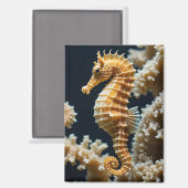 Joli cheval De Mer Et Aimant Corail (Recto/Verso)