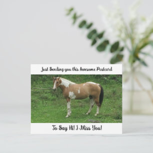 Joli cheval "Tu me manques" Carte postale de salut