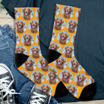 Joli chien animal de compagnie Orange Photo<br><div class="desc">Surprenez l'amoureux des chiens si c'est un anniversaire,  jour des mères ou Noël avec ces super mignonnes photos d'animaux de compagnie partout sur les chaussettes d'impression. Ils seront les favoris de tous les amoureux de les chiens. DROIT D'AUTEUR © 2020 Judy Burrows,  Black Dog Art - Tous droits réservés</div>