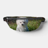 Joli chiot blanc (Poser)