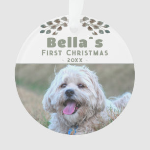 Joli chiot premier Noël photo de chien animal de c