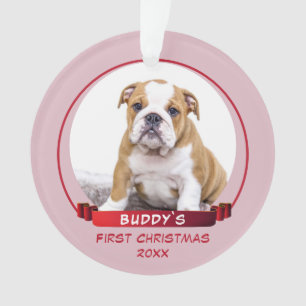 Joli chiot rose 1er Noël Photo de chien