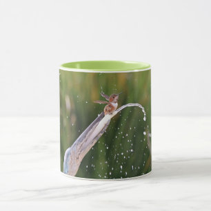 Joli colibri jouant à la Coupe de Mug de Fontaine
