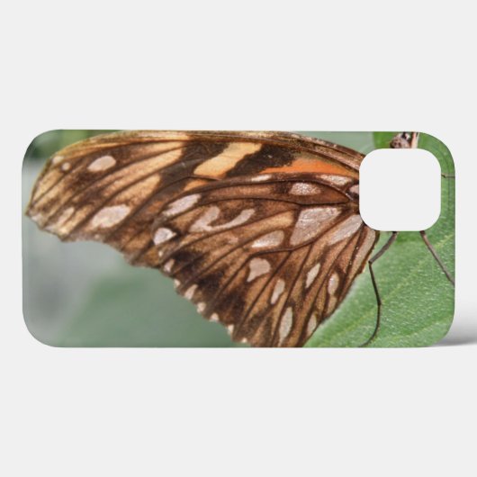 Joli coque ipad papillon Brown (Verso (horizontal))