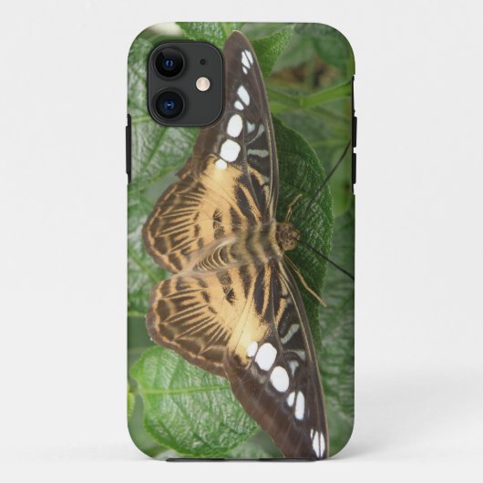 Joli coque iphone à papillon Tropical Clipper (Dos)