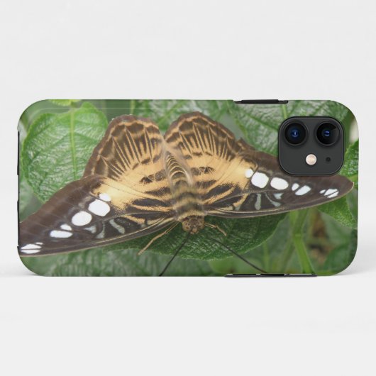 Joli coque iphone à papillon Tropical Clipper (Dos (Horizontal))