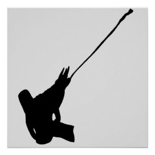 Joli coup ! Poster de la silhouette Chameleon de J