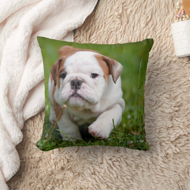 Joli Coussin chiot Bulldog (Couverture)