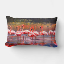 Joli Coussin flamant rose