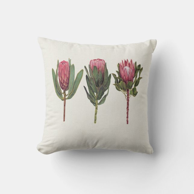Joli Coussin Protea (Recto)