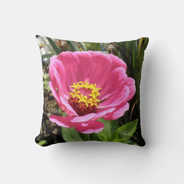 Joli Coussin rose Zinnia (Recto)