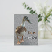 Joli Croûte De Canard De Marche. Carte postale Joy (Debout devant)