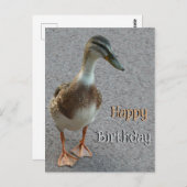 Joli Croûte De Canard De Marche. Carte postale Joy (Devant / Derrière)