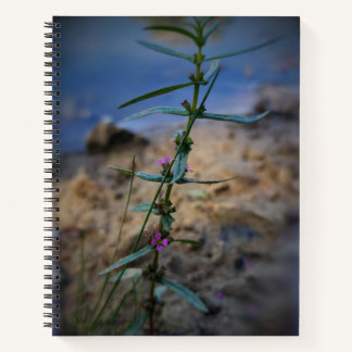 Joli dans le Carnet pourpre de l'université