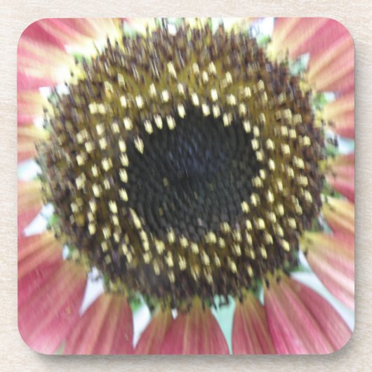 Joli Dessous de verre de liège de tournesol rose (Devant)