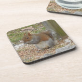 Joli Dessous de verre d'écureuil. (Côté gauche)