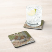 Joli Dessous de verre d'écureuil. (Côté Droit)